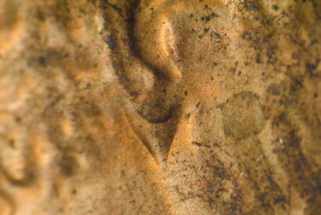 1983-D-Cent-Is-The-Mark-Behind-Lincolns-Ear-And-Just-Below-It-Some-Sort-Of-Doubling